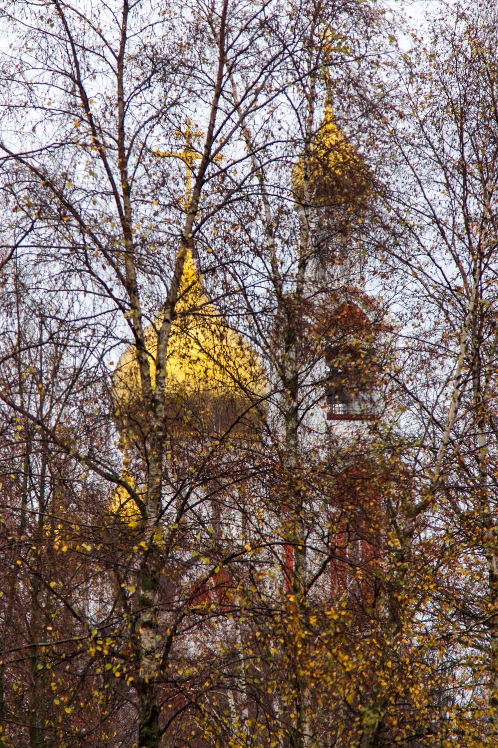 Золотая паутина осени