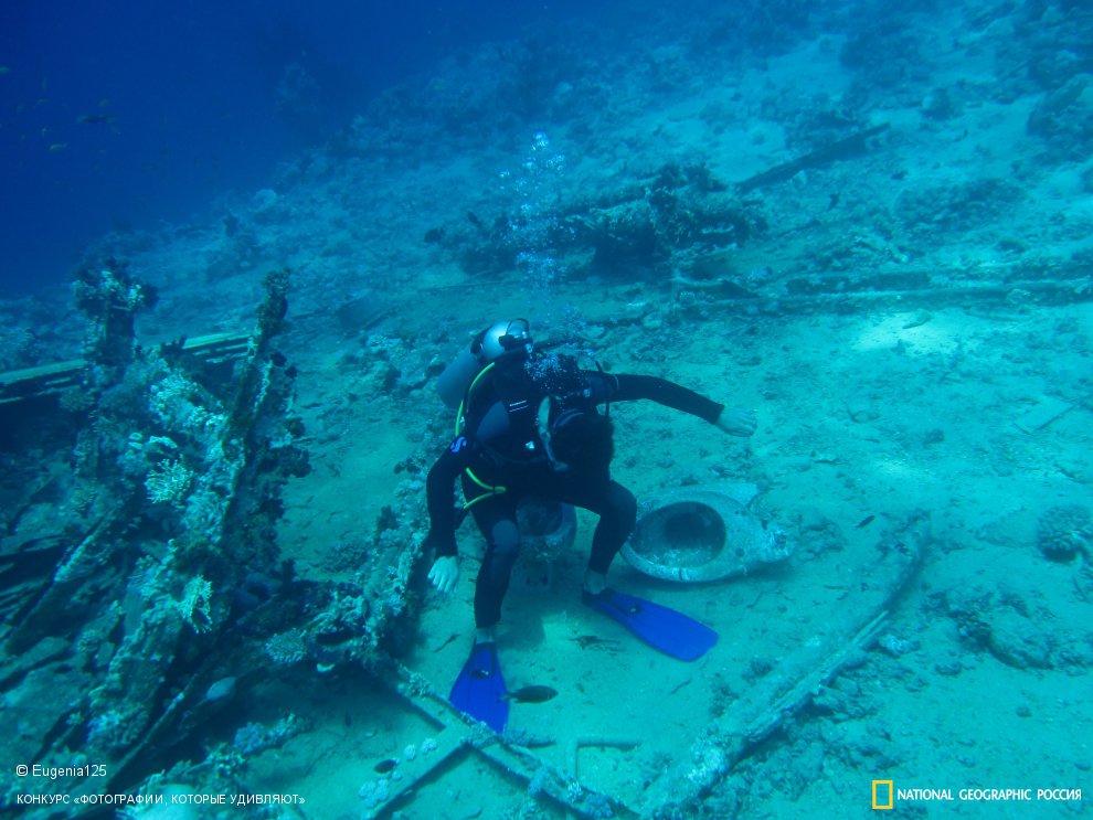 Дайверский гальюн