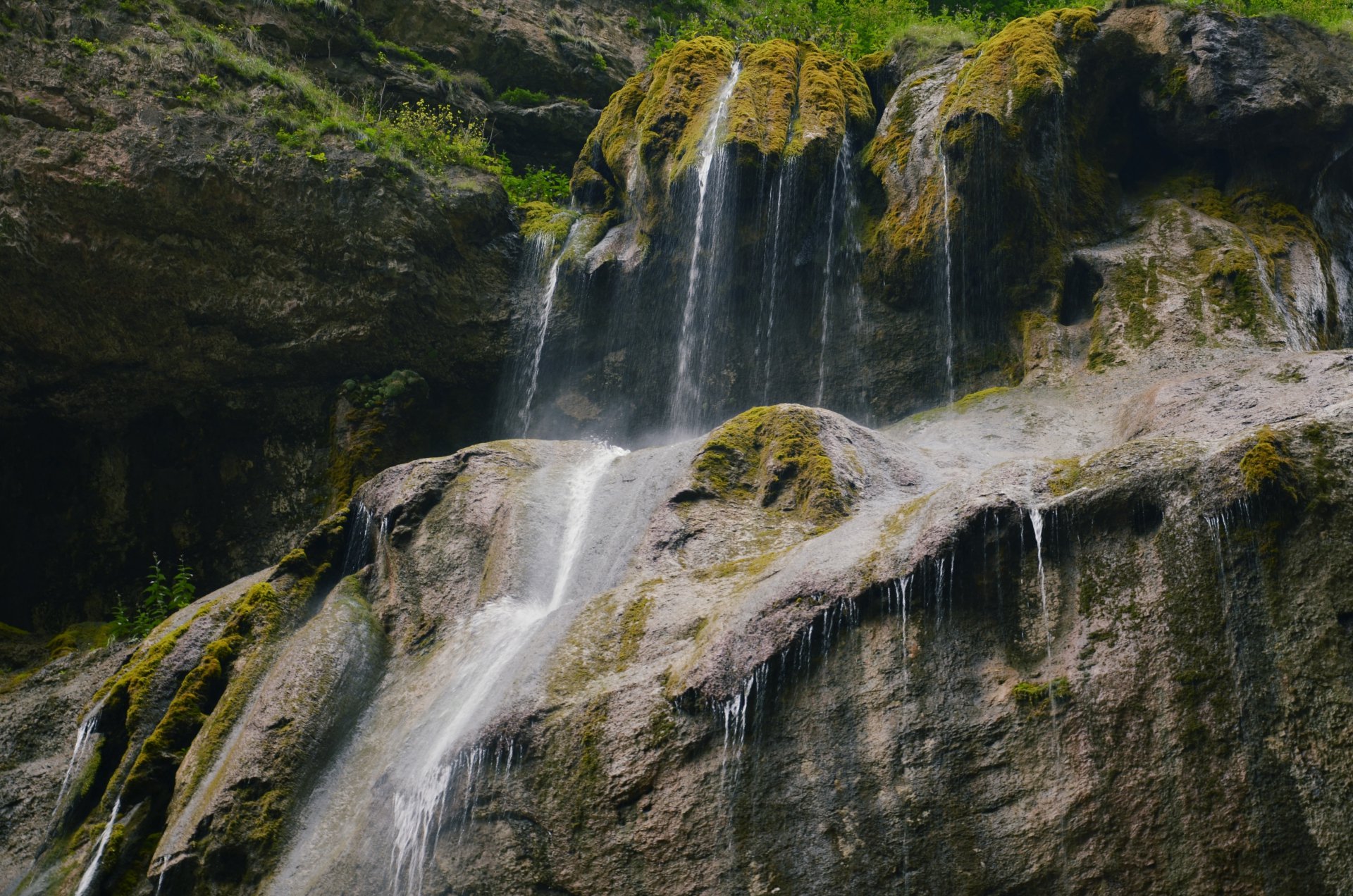 Мелодия природы