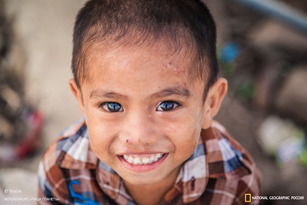 Дети острова Комодо