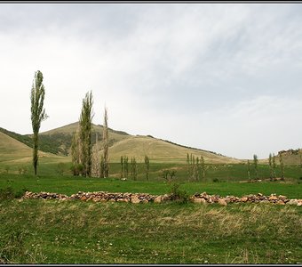 Ардви, Армения