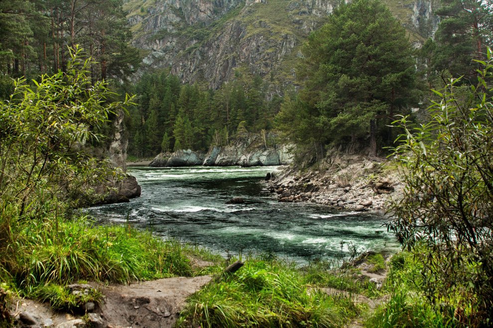 Чемал в мае фото