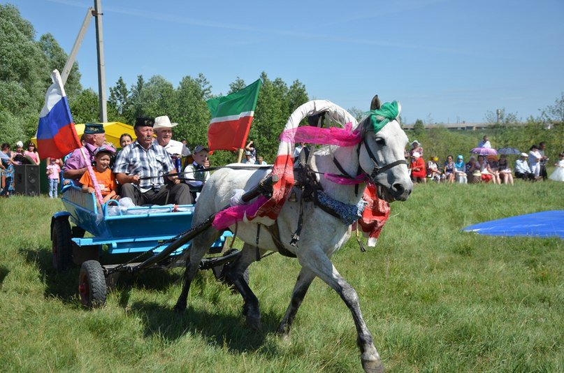 Лошадник - это диагноз)))