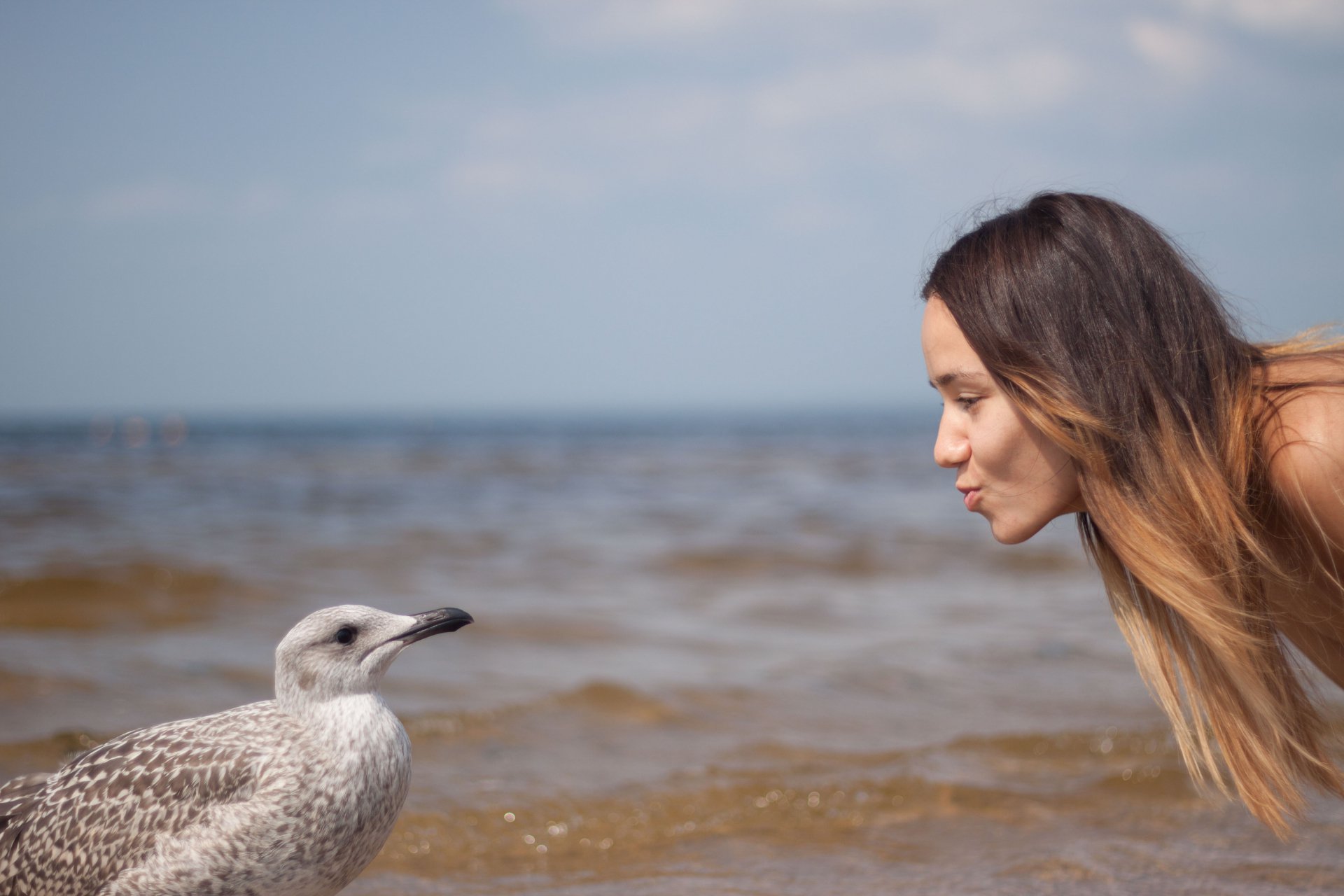 girl & seagull