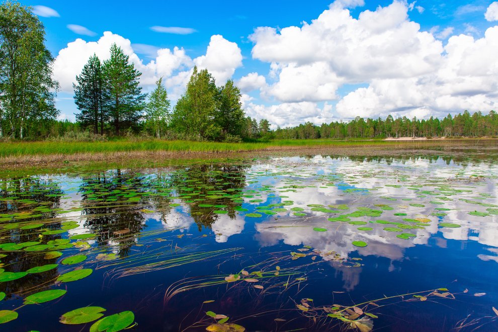 Река Чирка Кемь Карелия