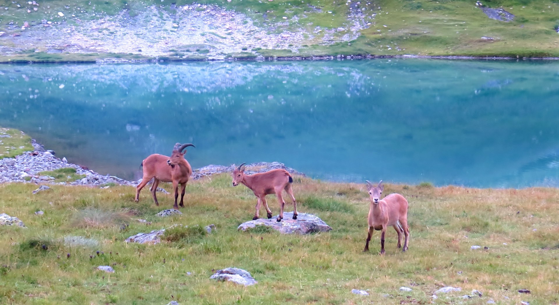 Затаив дыхание...