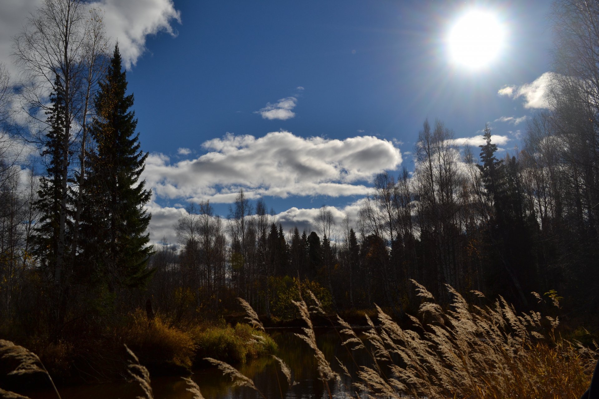 Ясный день.