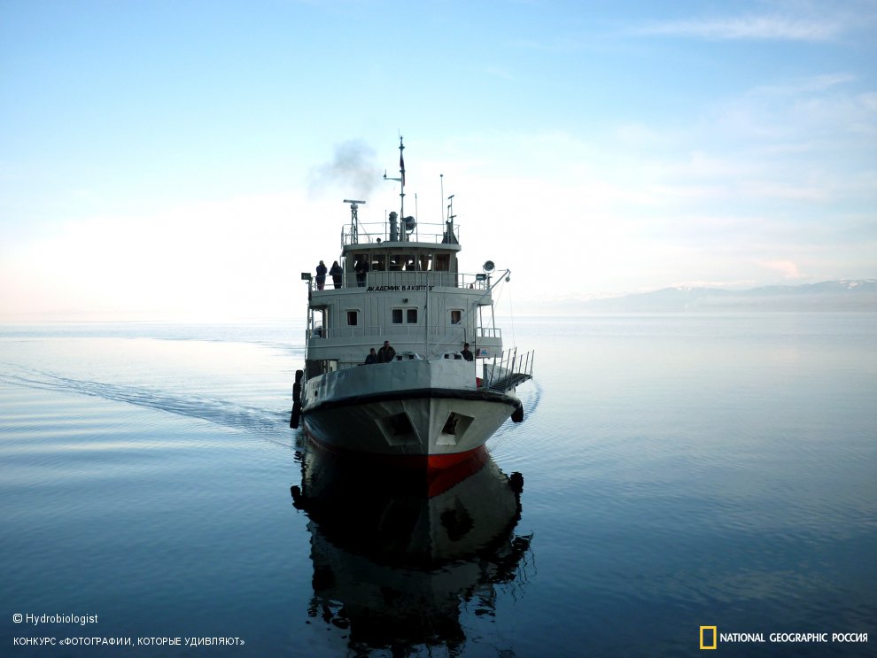 Три мудреца в одном тазу...