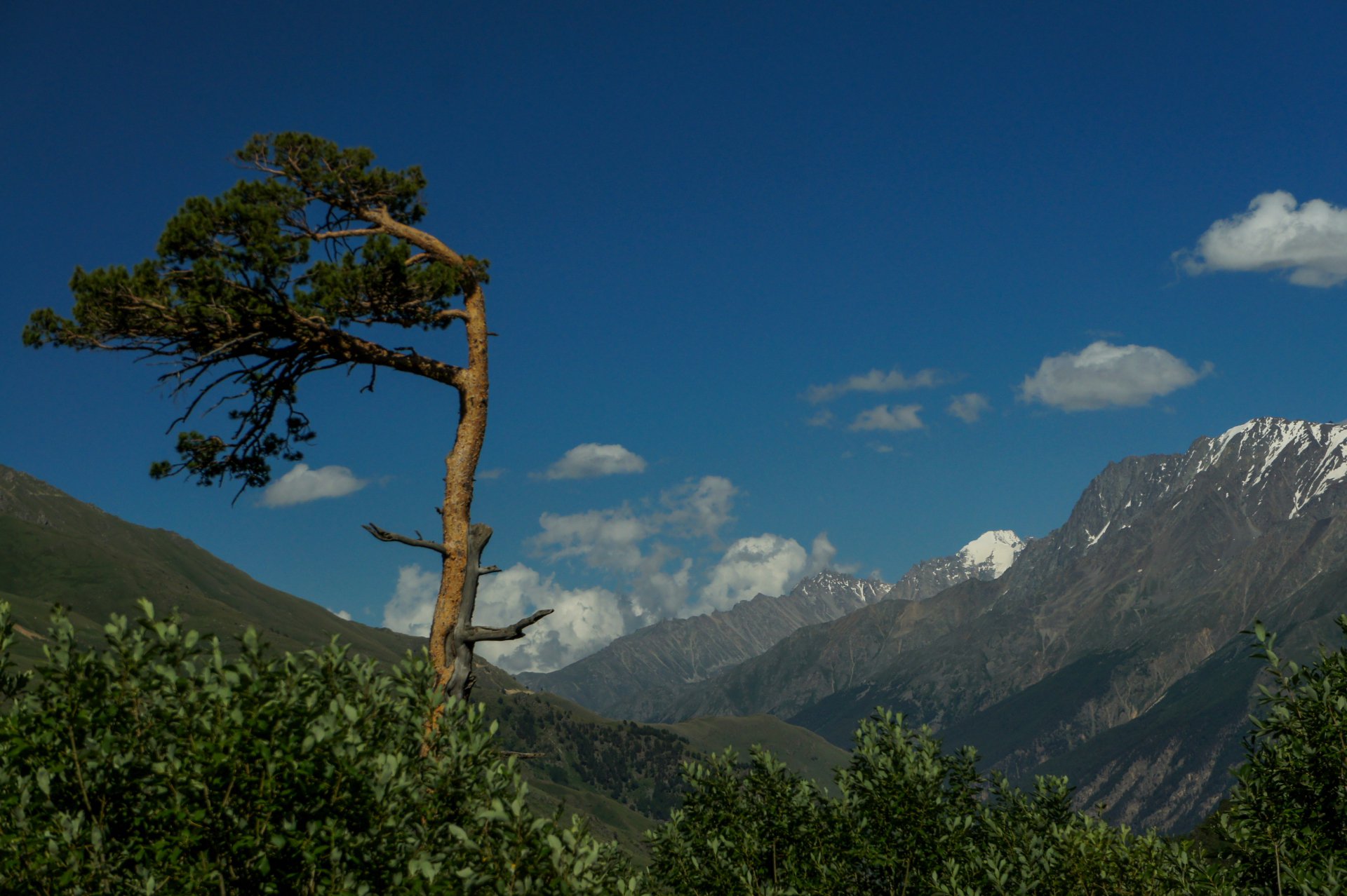 Сильный ветер