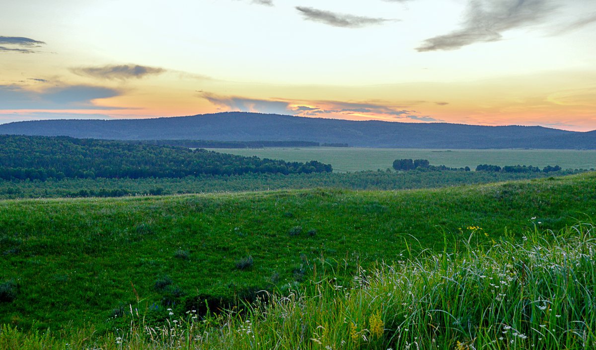 Кубанская равнина. Закубанская равнина. Рельеф Закубанской равнины. Растительный мир Закубанской равнины. Почвы Закубанской равнины.