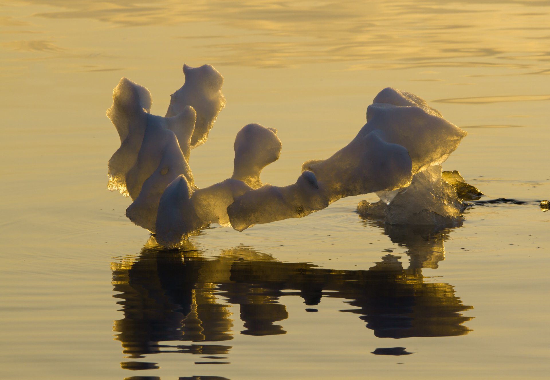 Льдинка, льдинка вот и май...