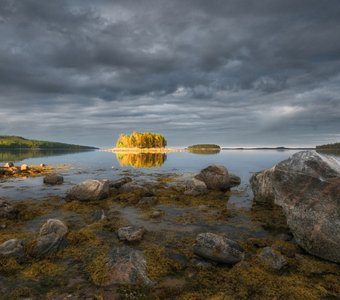 Кандалакшский заповедник.