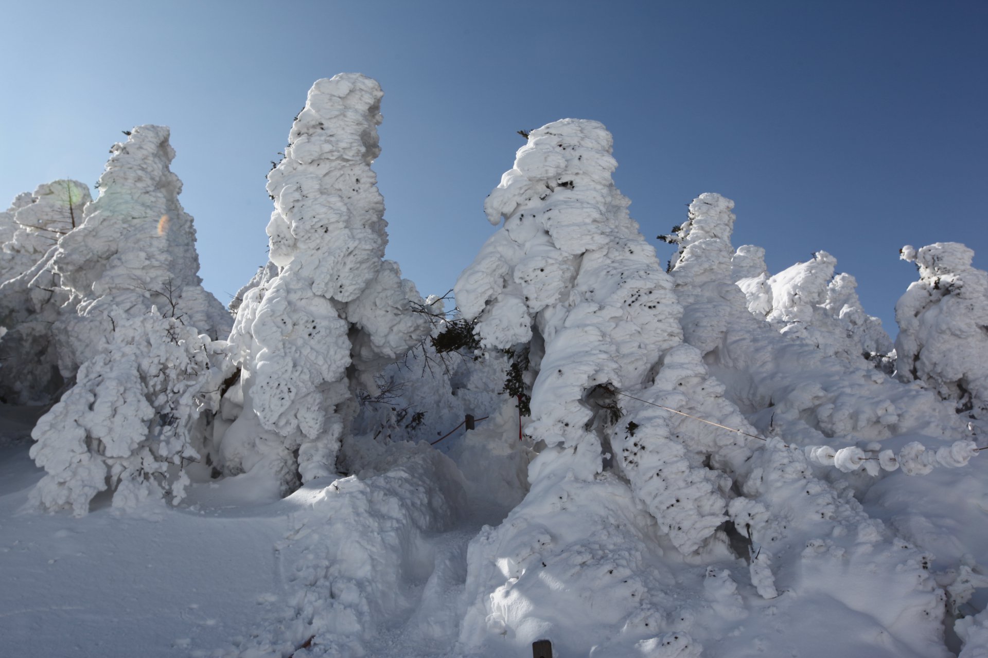 Кремовые шапки снега в горах Халласан