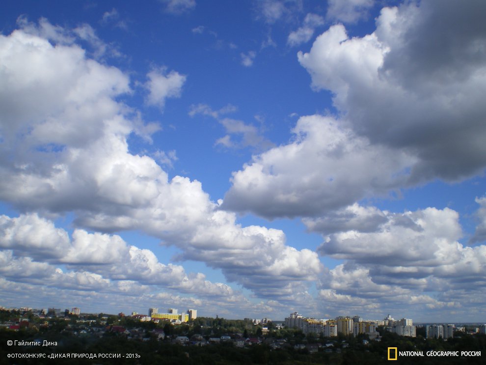 Облачно, возможны осадки