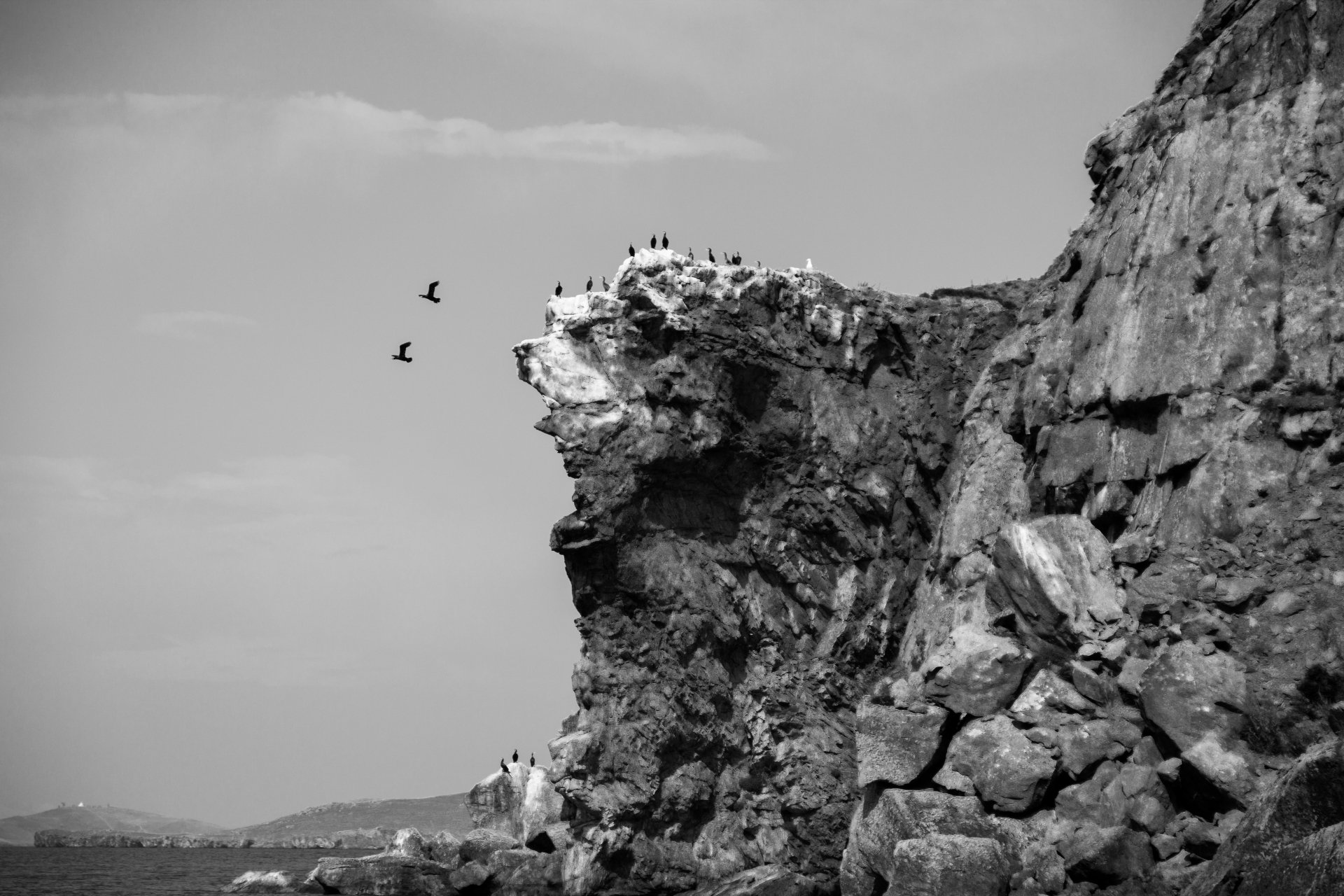 Черные бакланы на острове "Собачья голова"