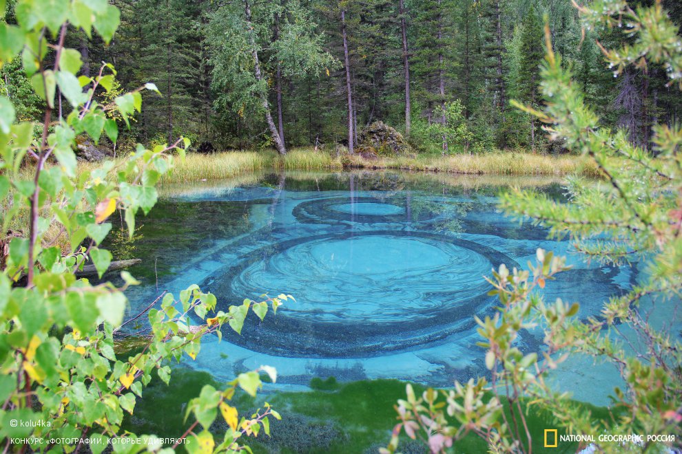 Настоящее чудо Горного Алтая