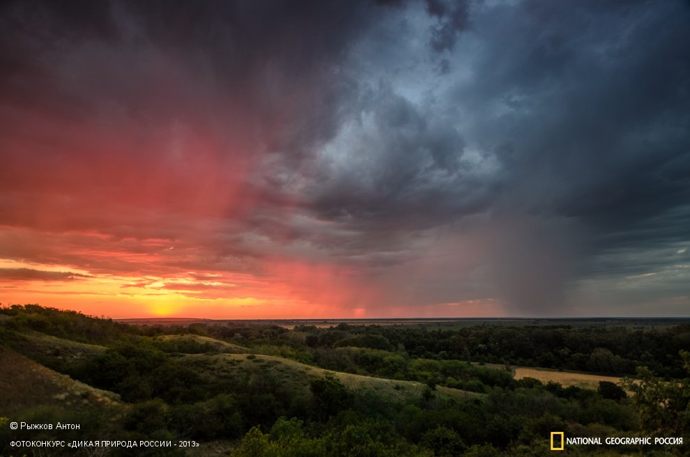 Дождливое утро