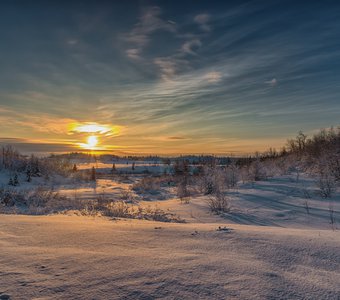 Феникс Севера