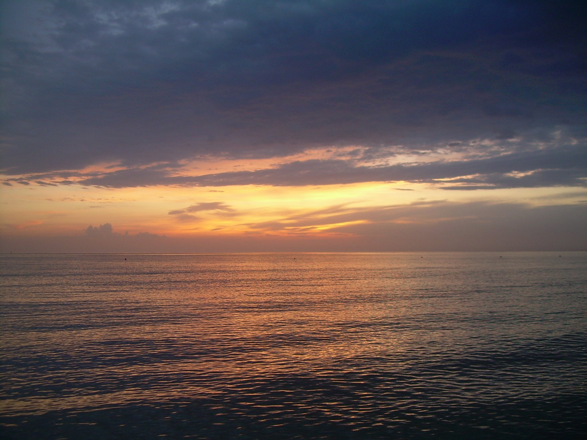 Искусный художник!