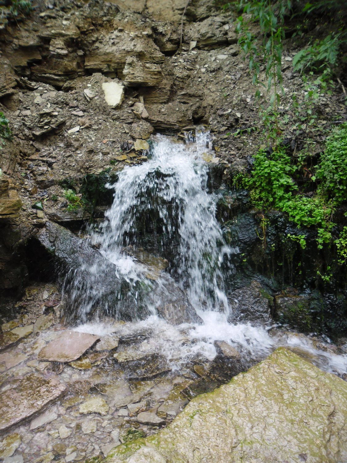 " Святой источник" Псковская обл. г Изборск