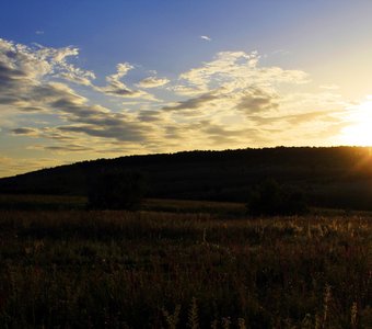 /upload/iblock/626/62648cefc454e7033ede74a8e795c3ed.jpg