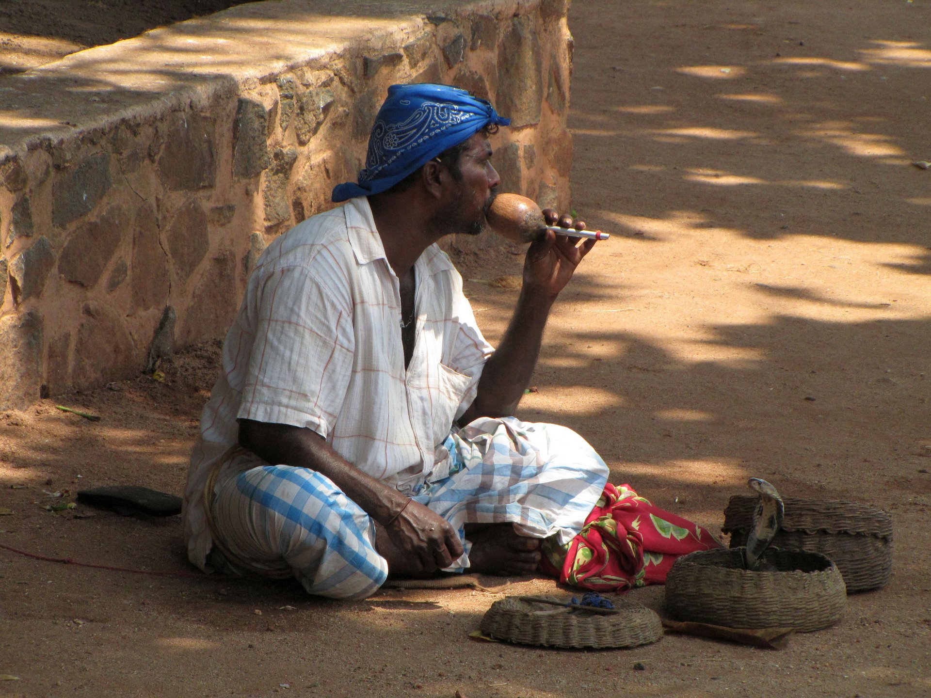 Дуэт ради пропитания