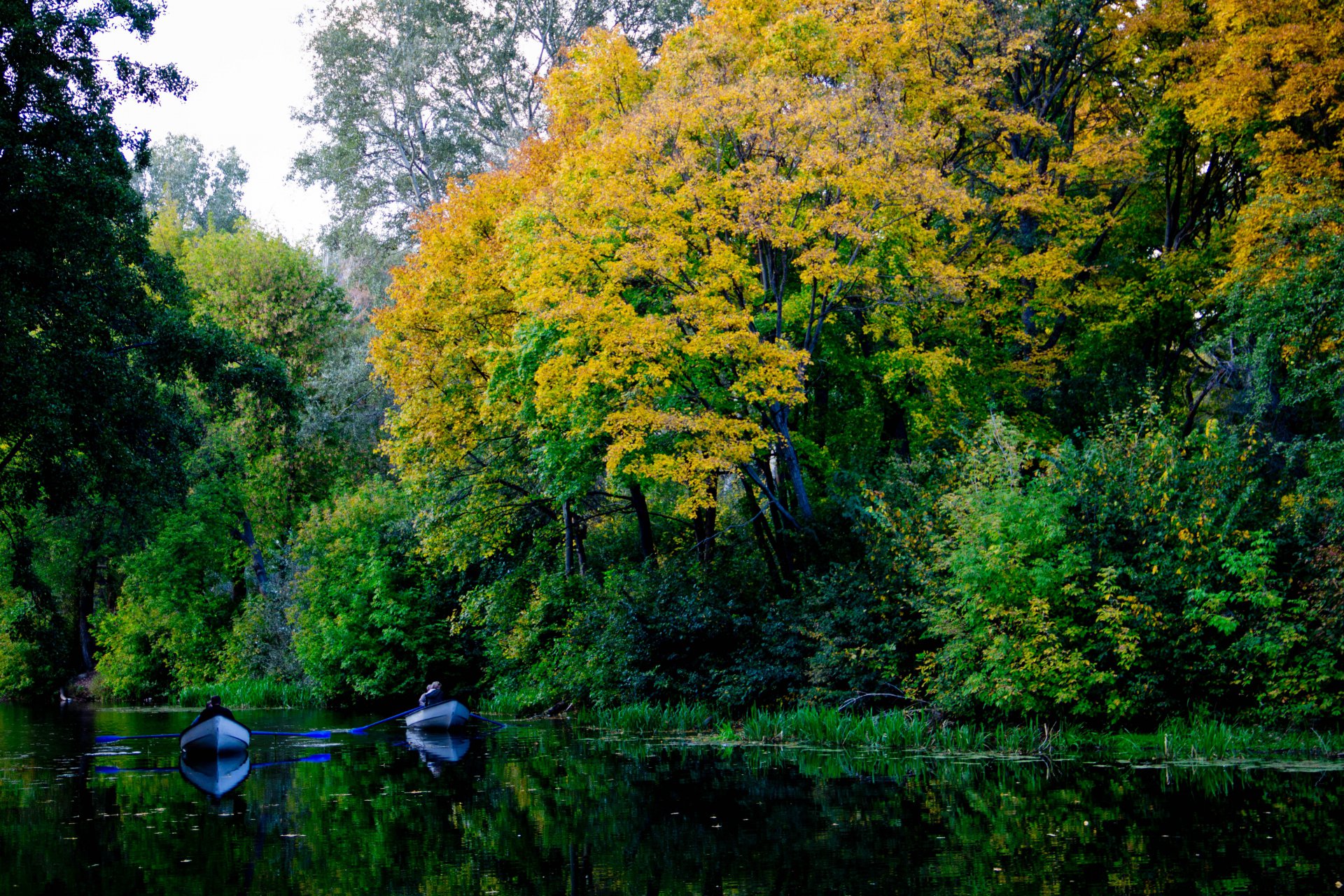 Прогулка по реке