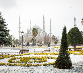 Голубая мечеть в снегу