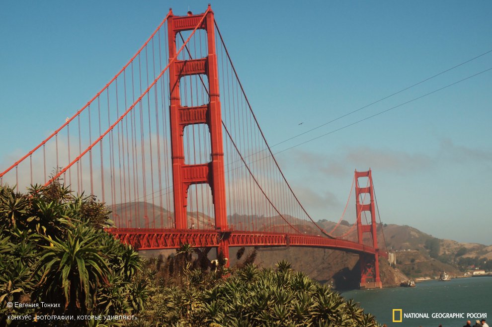 Мост Золотые ворота в Сан-Франциско — Фото №39239