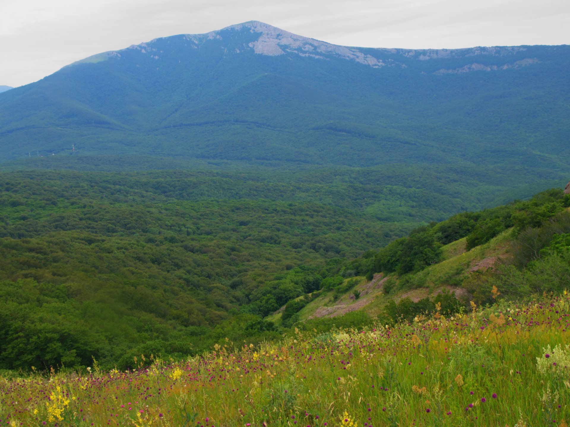 Севарная Демерджи, Главная гряда Крымских гор