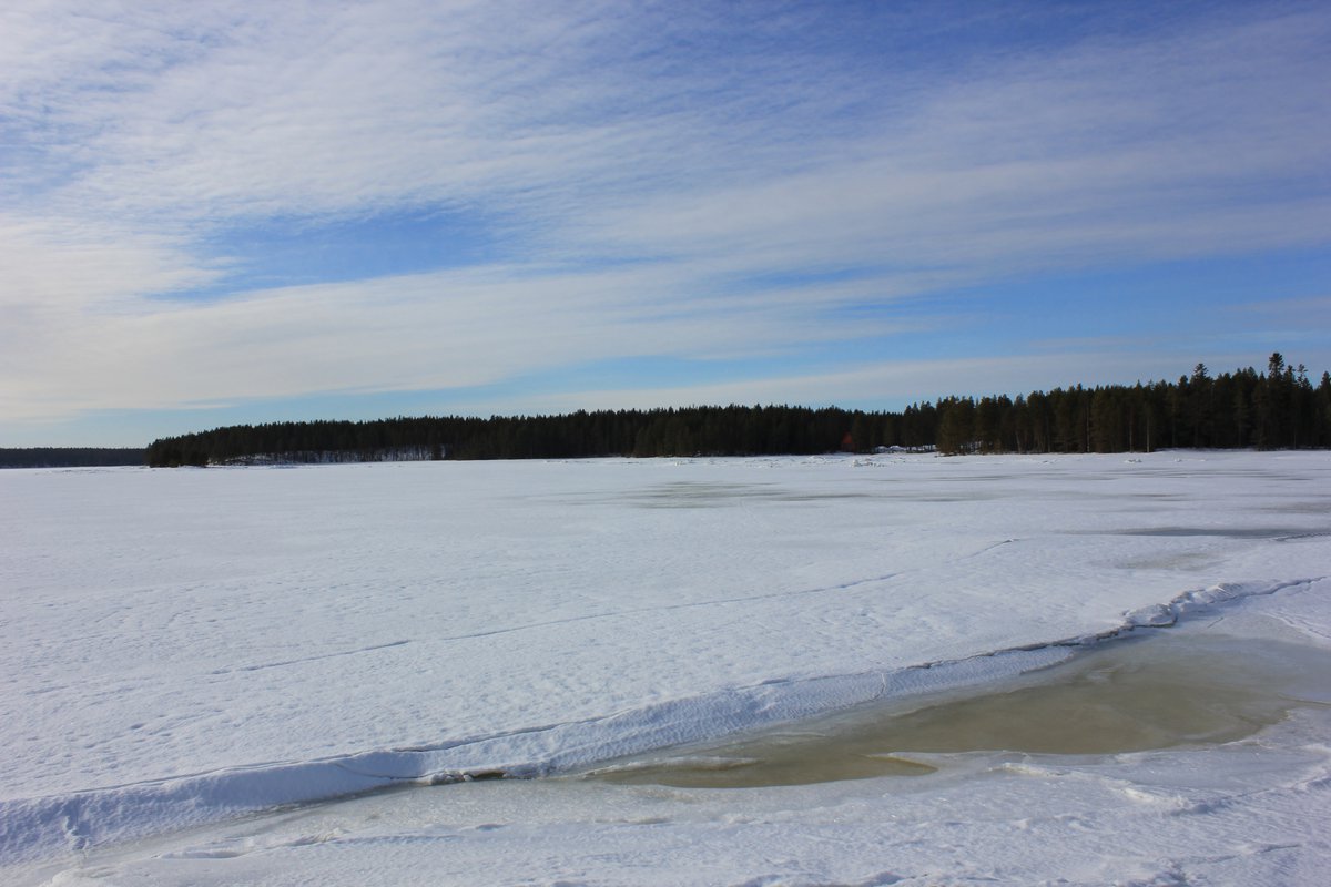 Чупа белое море