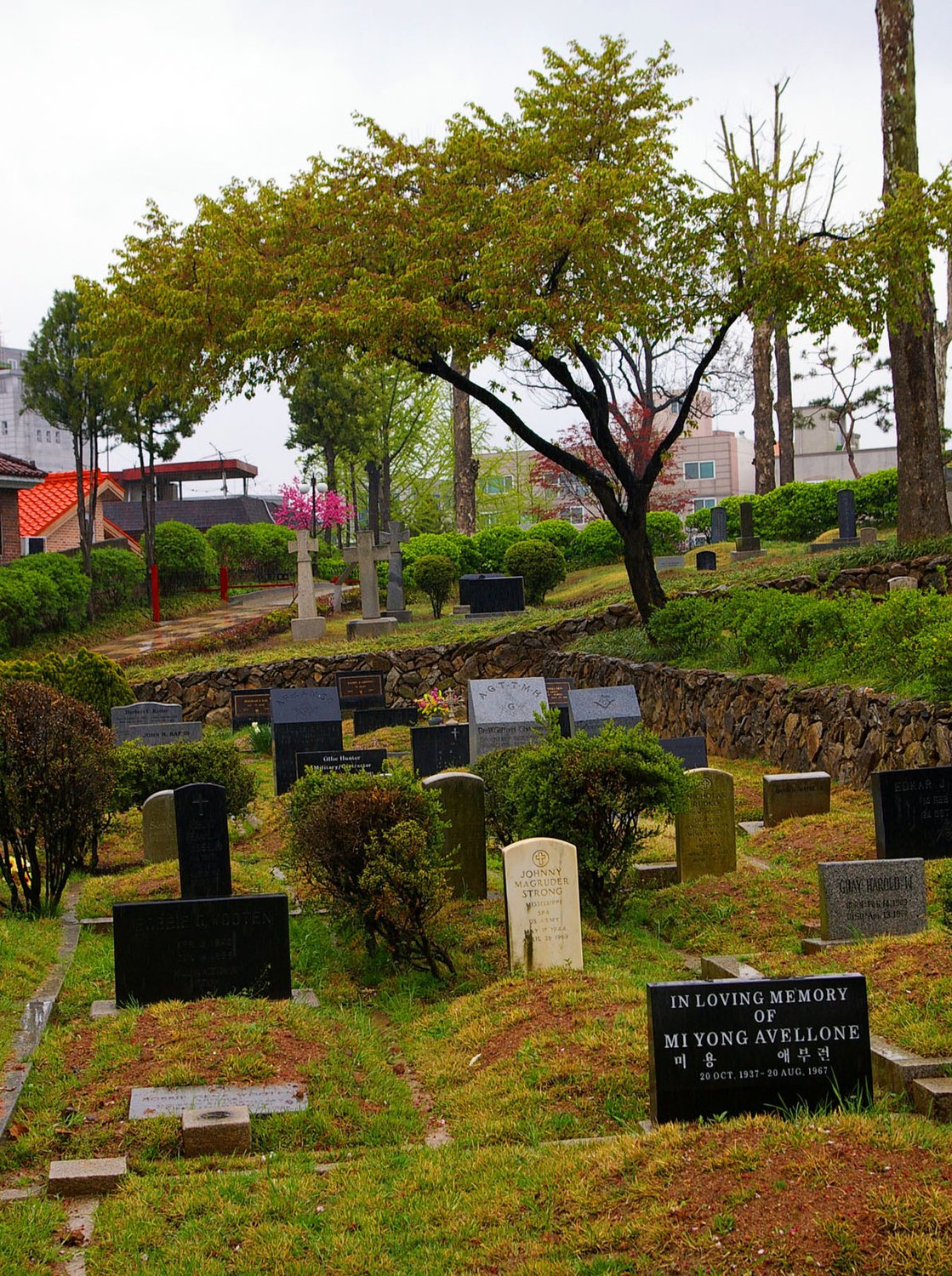 Как выглядят корейские кладбища. Сеульское национальное кладбище. Кладбище в Сеуле. Кладбище в Южной Корее. Корейское кладбище бектимир.