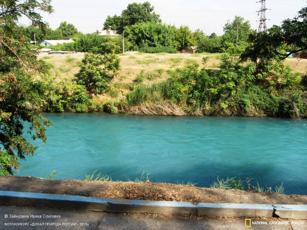 Үлкен жамбастары бар қисық қыздың қырылған кискасы, үй фотолары