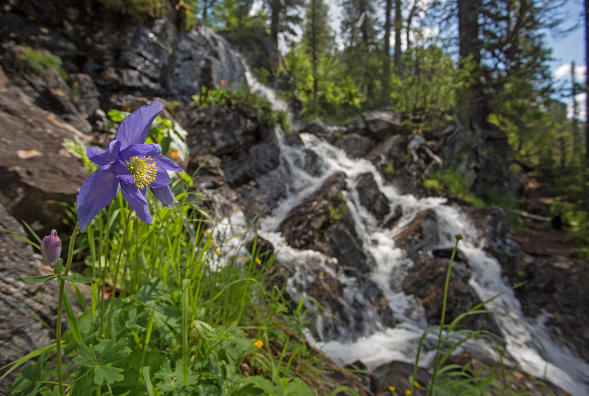 Кусочек неба на земле