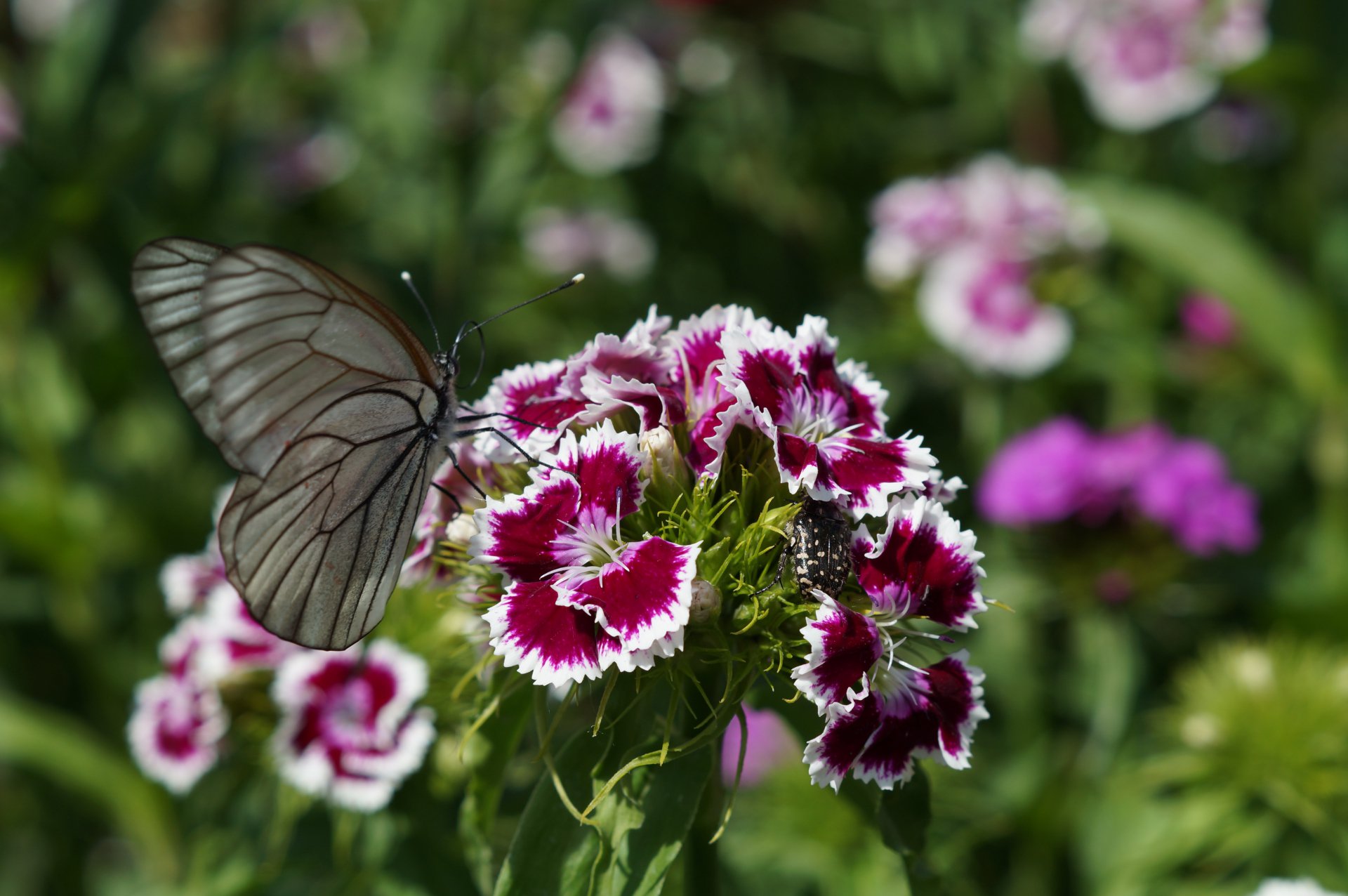 "Медовый завтрак"