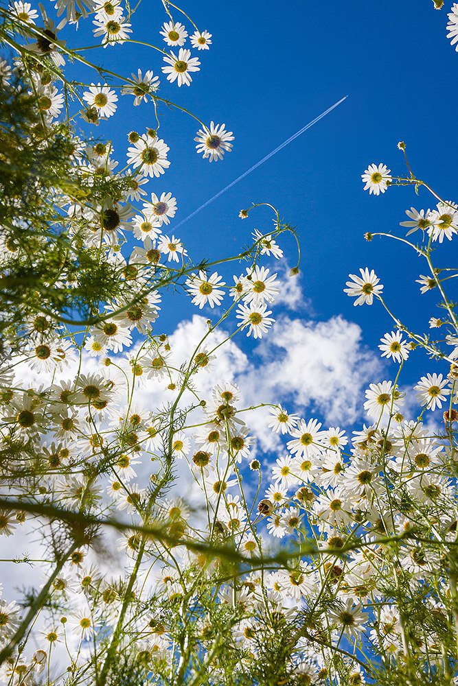 А мне летать охота!