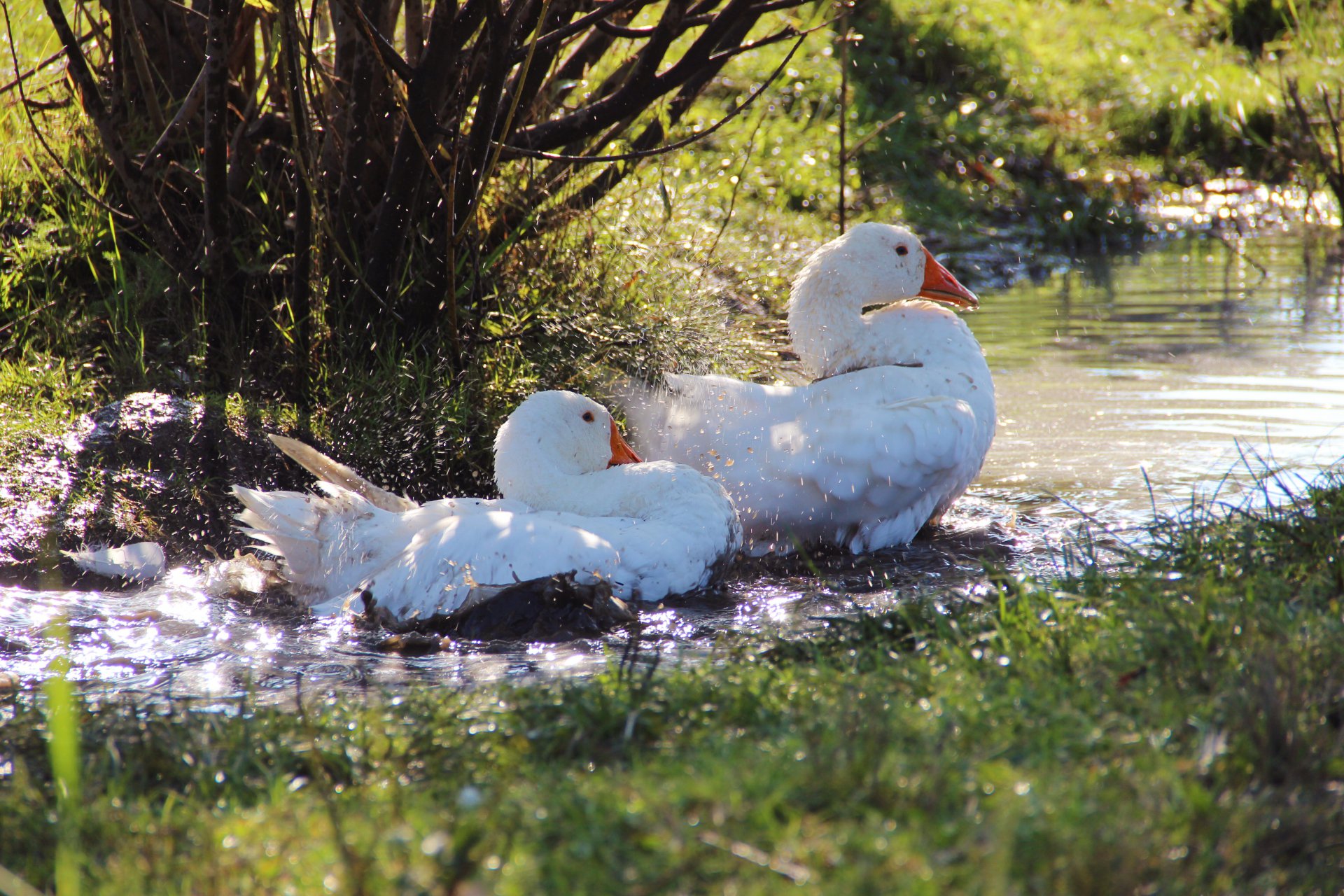 Доброе утро!