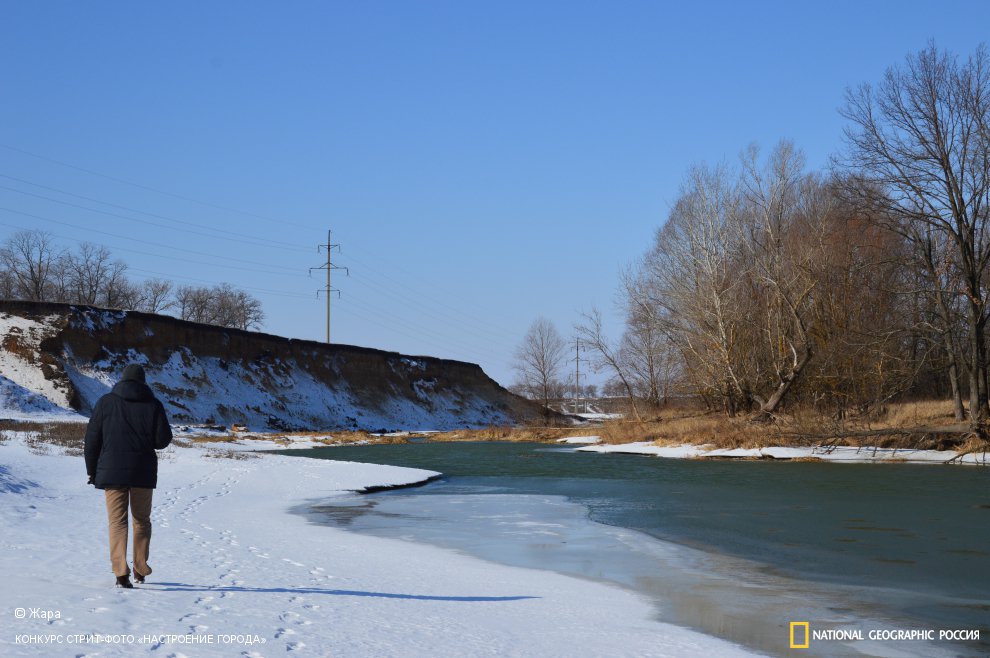 Провинция замерла