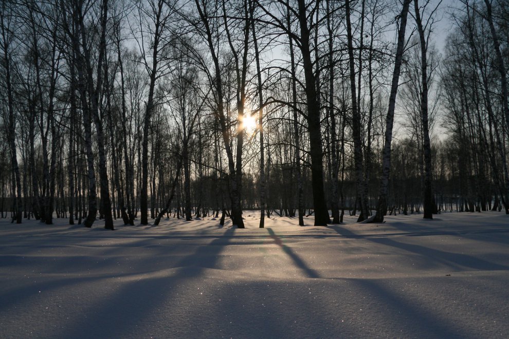 Между ними снег