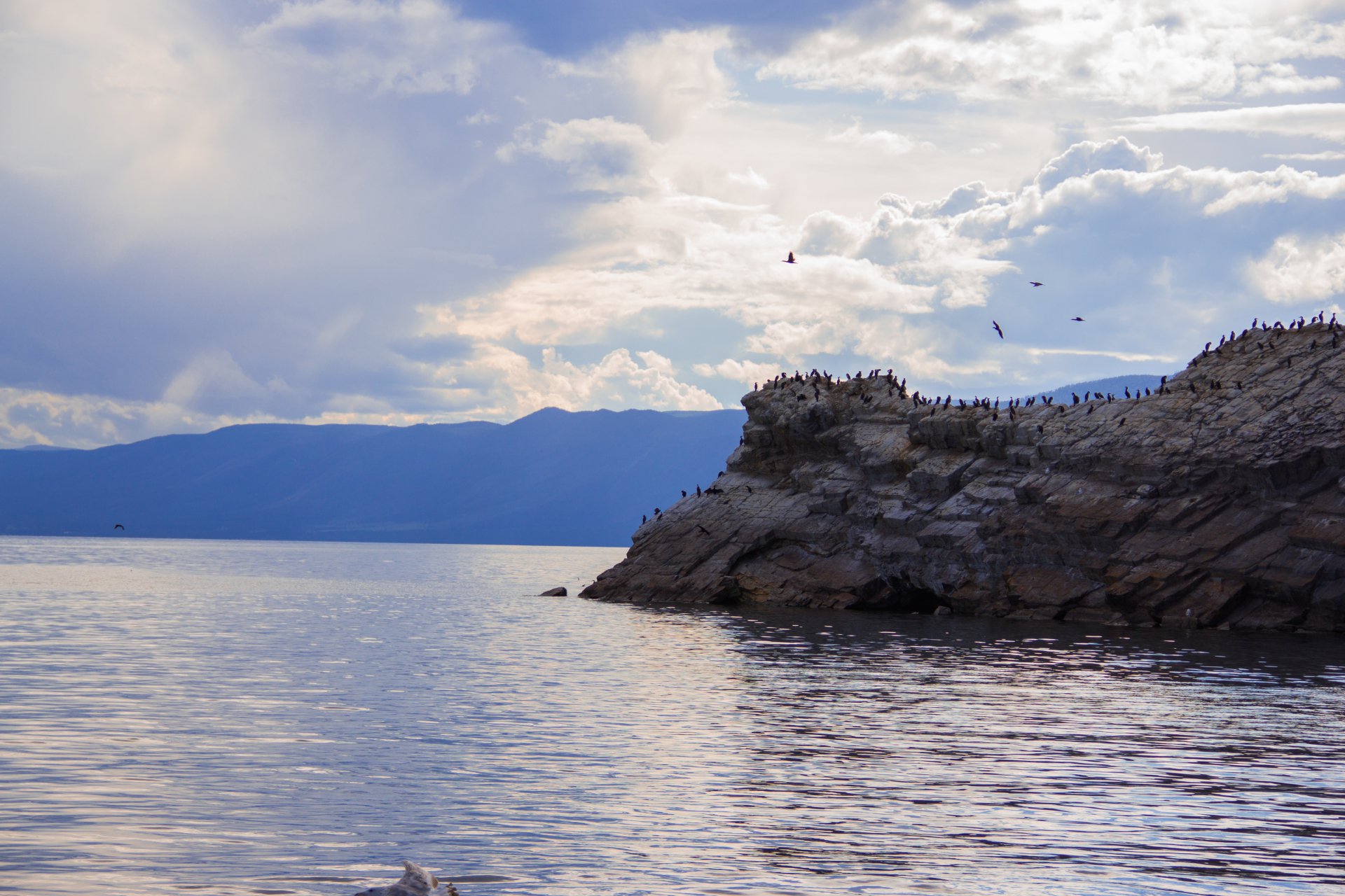 Место обитания Черных Бакланов незадолго до заката. Прибайкальский национальный парк