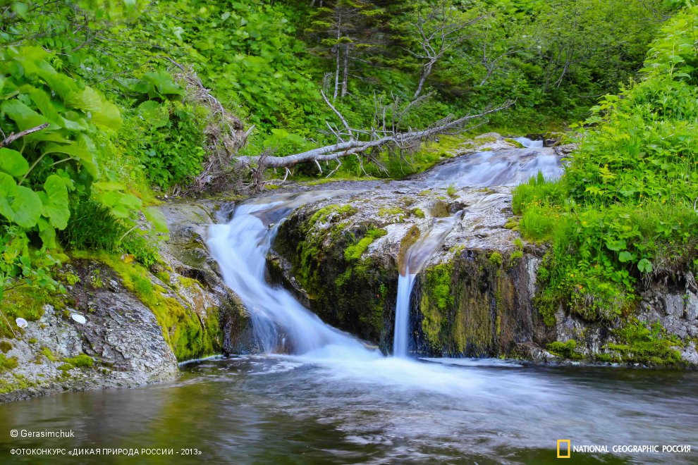 Природа острова Кунашир