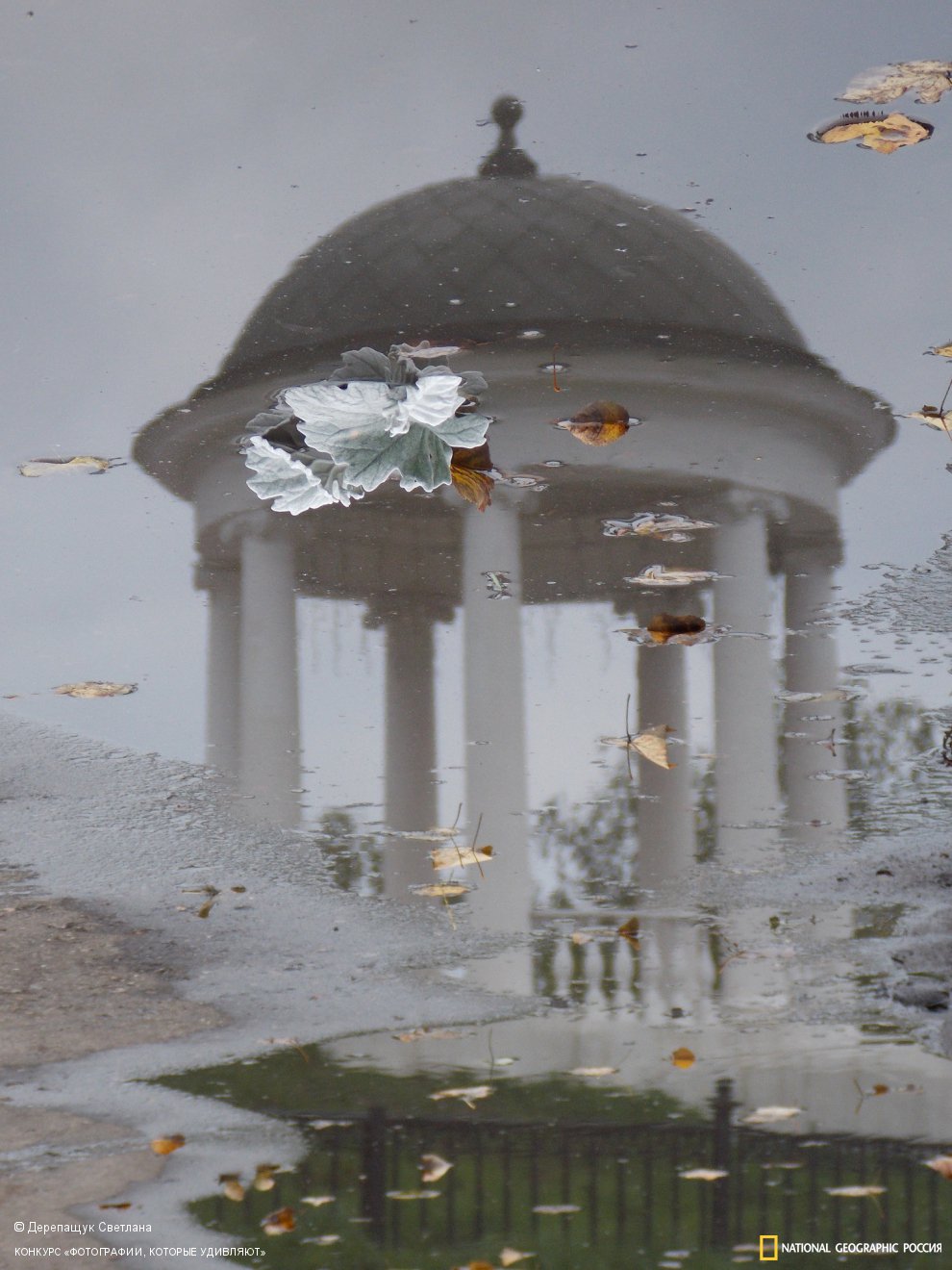 Беседка Островского в Костроме.