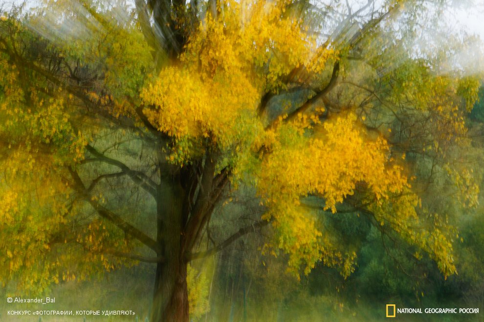 Придыхание сентября