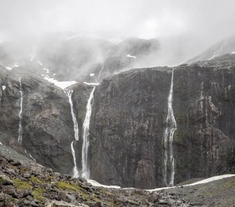 Fiordland