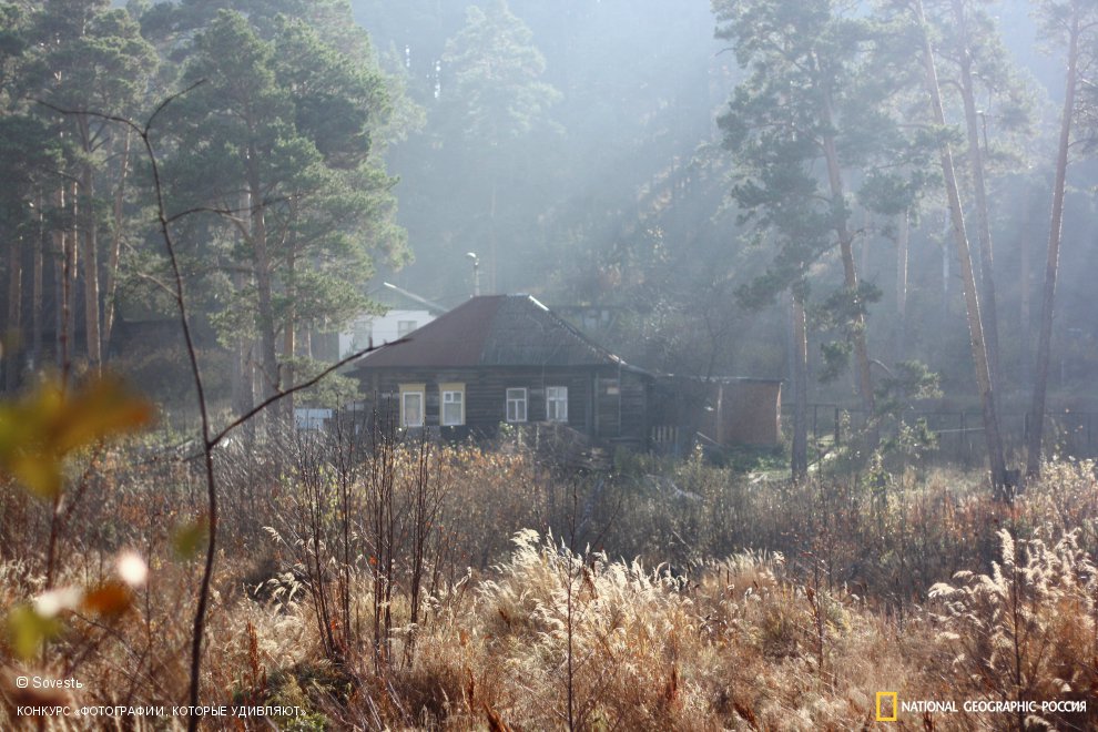 теплый день