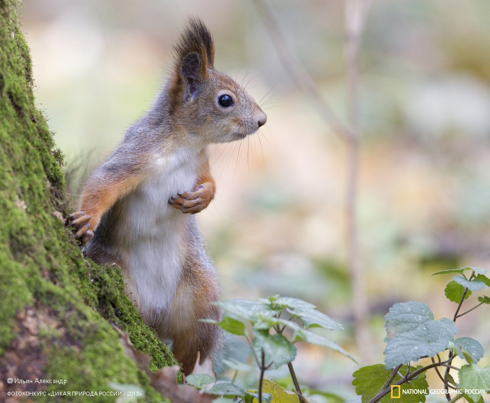 Всё пропало...