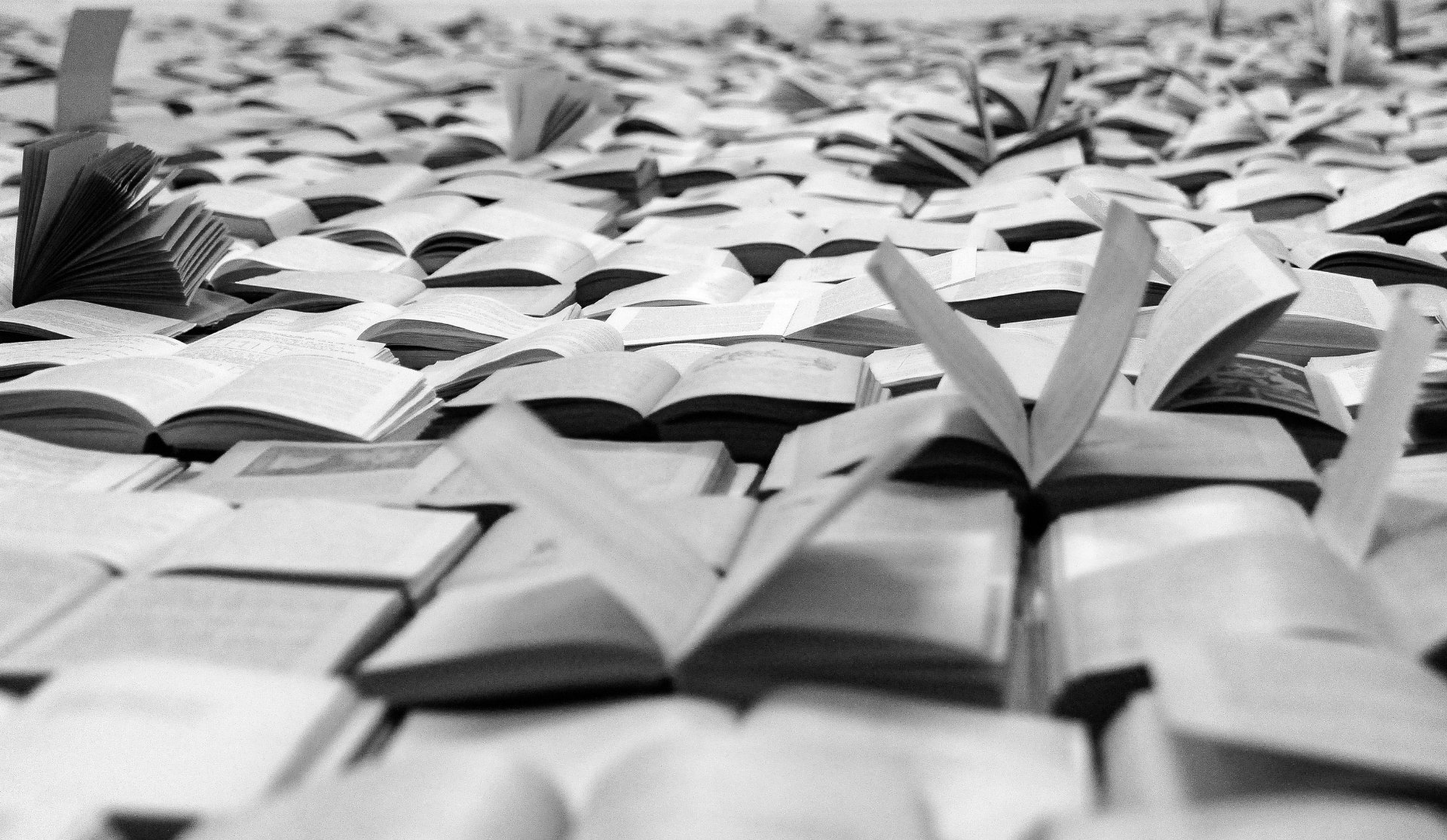 Гугл-ничто, Книги-все!