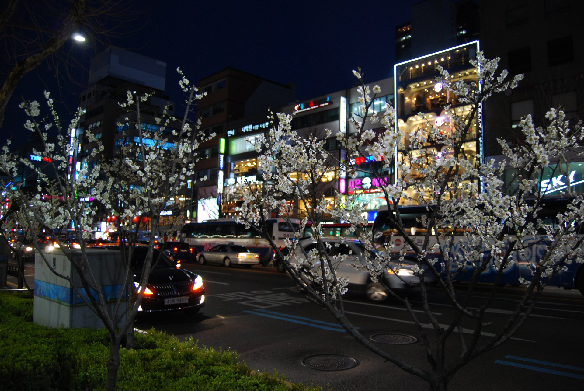ТОП-5 самых впечатляющих рынков Сеула | Ассоциация Туроператоров