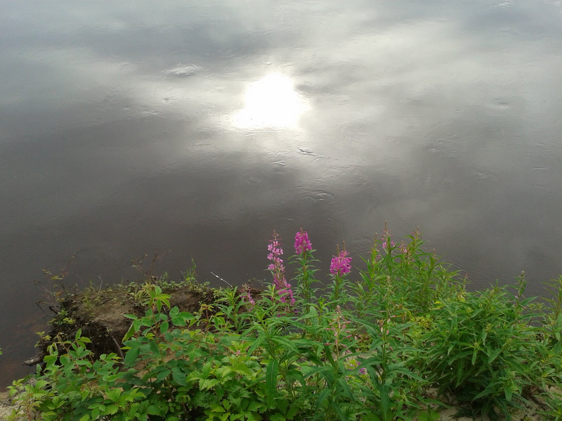 Солнце в реке