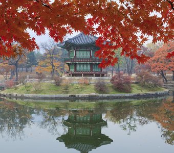 Осень в императорском дворце Кёнгбоккун в Сеуле.